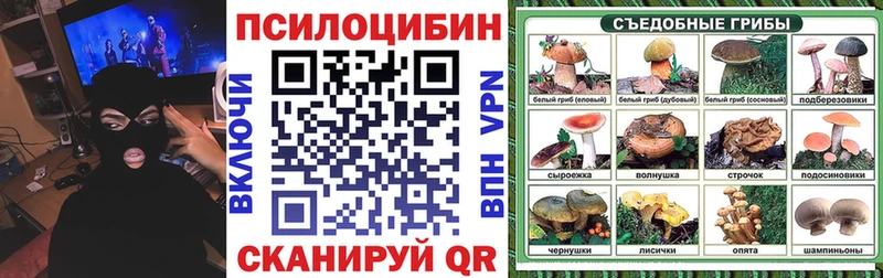 закладка  kraken зеркало  Псилоцибиновые грибы MAGIC MUSHROOMS  Багратионовск 